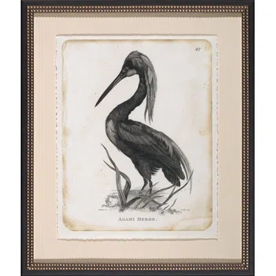 Wendover Art Group Agami Heron - Picture Frame Painting On Paper In Dark Gray