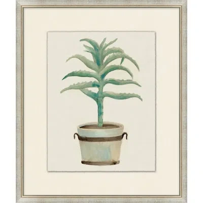 Wendover Art Group Aloe Pot 2 - Picture Frame Painting On Paper In White;green;beige