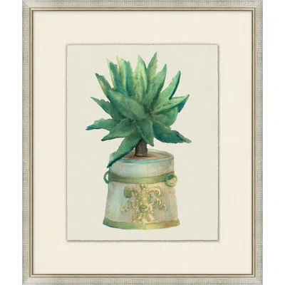 Wendover Art Group Aloe Pot 3 - Picture Frame Painting On Paper In Green;light Blue