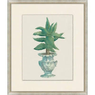 Wendover Art Group Aloe Pot 4 - Picture Frame Painting On Paper In Green;ivory;light Blue