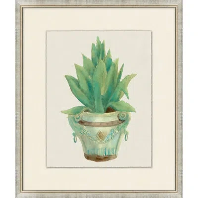Wendover Art Group Aloe Pot 5 - Picture Frame Painting On Paper In Brown;green;beige