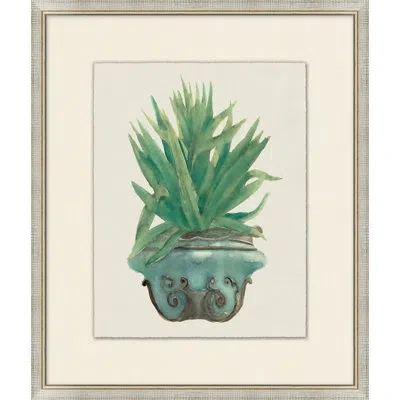 Wendover Art Group Aloe Pot 6 - Picture Frame Painting On Paper In Green;gray;ivory