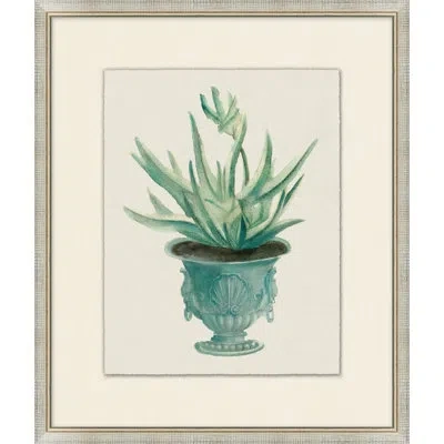 Wendover Art Group Aloe Pot 8 - Picture Frame Painting On Paper In Blue;green;dark Brown
