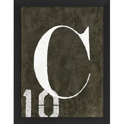 Wendover Art Group Alphabet "c" - Picture Frame Textual Art On Paper In White;dark Gray
