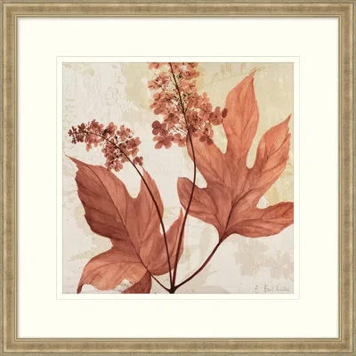 Wendover Art Group Amber Blossoms 4 - Picture Frame Painting On Paper In Beige;orange