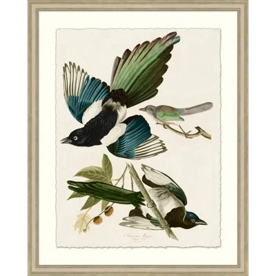 Wendover Art Group American Magpie By John James Audubon - Picture Frame Painting On Paper In Multi