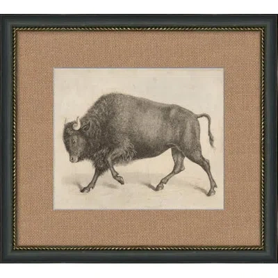 Wendover Art Group Antique Bull - Picture Frame Painting On Paper In Black;white
