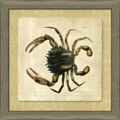 Wendover Art Group Antique Crackled Crab I - Picture Frame Painting On Paper In Green;beige