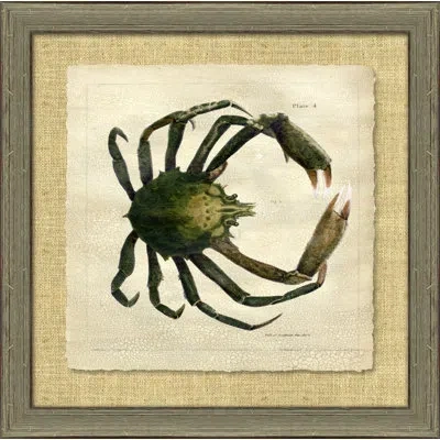 Wendover Art Group Antique Crackled Crab Ii - Picture Frame Painting On Paper In Green;beige