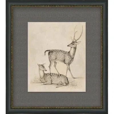 Wendover Art Group Antique Deer - Picture Frame Painting On Paper In Multi