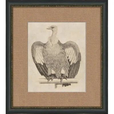 Wendover Art Group Antique Eagle - Picture Frame Painting On Paper In Brown