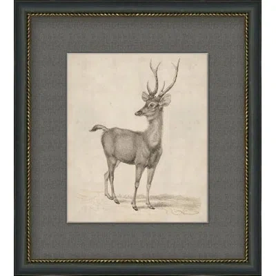 Wendover Art Group Antique Lone Deer - Picture Frame Painting On Paper In Multi