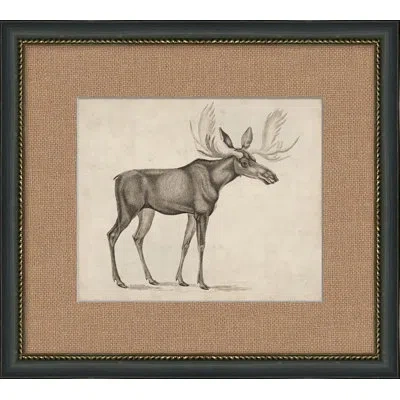 Wendover Art Group Antique Moose - Picture Frame Painting On Paper In Brown