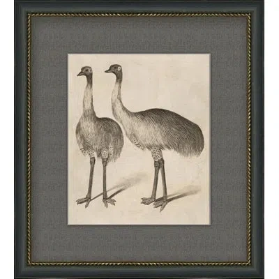 Wendover Art Group Antique Ostrich - Picture Frame Painting On Paper In Brown