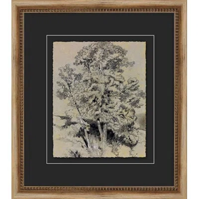 Wendover Art Group Antique Tree Study 1 - Picture Frame Painting On Paper In Gray;beige