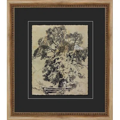 Wendover Art Group Antique Tree Study 2 - Picture Frame Painting On Paper In Gray;beige