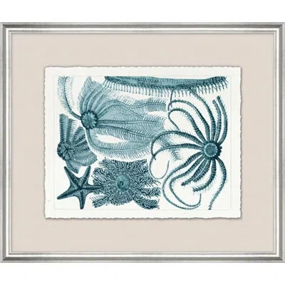 Wendover Art Group Aqua Horizontal Starfish 4 - Picture Frame Painting On Paper In Blue;white
