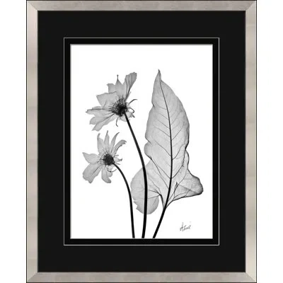 Wendover Art Group Arrow Leaf - Picture Frame Painting On Paper In Black;white;gray