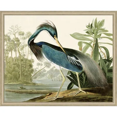 Wendover Art Group Audubons Blue Heron 1 - Picture Frame Painting Print In Blue;green