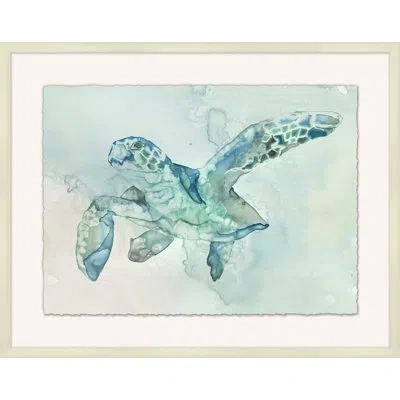 Wendover Art Group Australian Sea Turtle 2 - Shadowbox Painting On Paper In Green