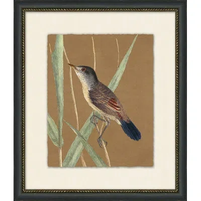 Wendover Art Group Autumn Bird 3 - Picture Frame Painting In Brown;green