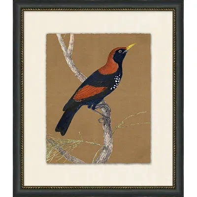 Wendover Art Group Autumn Bird 6 - Picture Frame Painting Print In Brown;navy