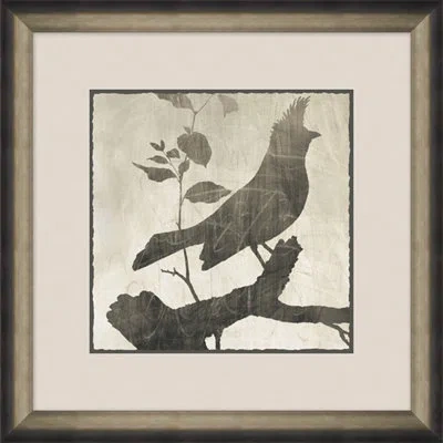 Wendover Art Group Aviary 6 - Picture Frame Graphic Art On Paper In Black;gray
