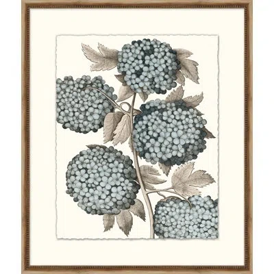 Wendover Art Group Azure Botanical 2 - Picture Frame Painting On Paper In Multi