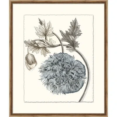 Wendover Art Group Azure Botanical 5 - Picture Frame Painting On Paper In Blue;gray