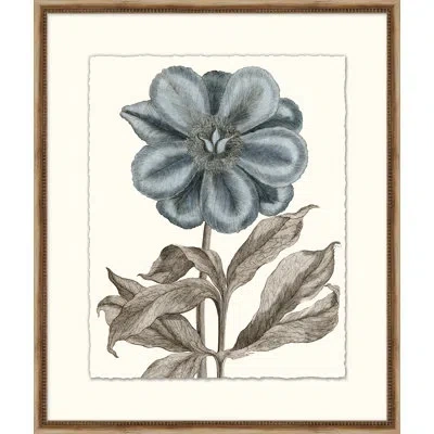 Wendover Art Group Azure Botanical 6 - Picture Frame Painting On Paper In Blue