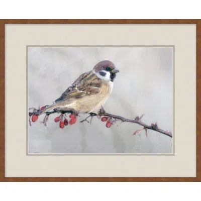 Wendover Art Group Back Country Bird Study 5 - Picture Frame Painting On Paper In Brown;gray;red