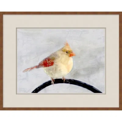 Wendover Art Group Back Country Bird Study 6 - Picture Frame Painting On Paper In Gray;red;yellow