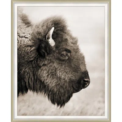 Wendover Art Group Badlands Bison In Brown,gray,black,white