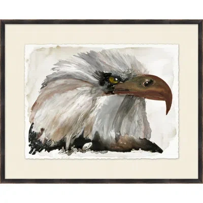 Wendover Art Group Bald Eagle 1 - Picture Frame Painting On Paper In Brown;gray