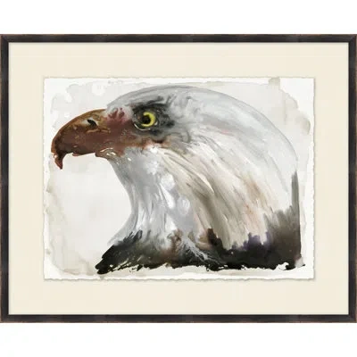 Wendover Art Group Bald Eagle 2 - Picture Frame Painting On Paper In Gray;beige