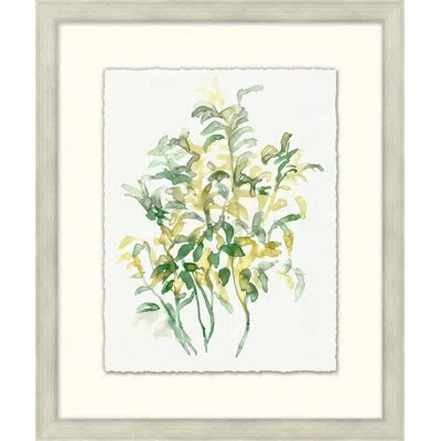 Wendover Art Group Barden Treasures 2 - Picture Frame Painting On Paper In Green;yellow