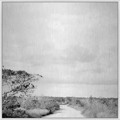 Wendover Art Group Beach Tree Trail By Lillian August - Floater Frame Photograph On Metal In Black;white;gray