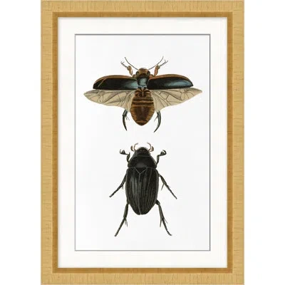 Wendover Art Group Beetle Study 2 In Black,white,beige