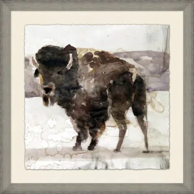 Wendover Art Group Big Buffalo 2 - Picture Frame Painting On Paper In Black;gray;ivory