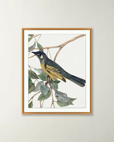 Wendover Art Group 'birds Of A Feather 2' Wall Art In Multi