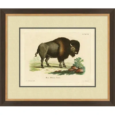 Wendover Art Group Bison 1 - Picture Frame Drawing Print On Paper In Brown;green;beige
