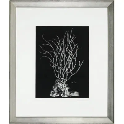 Wendover Art Group Black And White Coral I' - Picture Frame Graphic Art