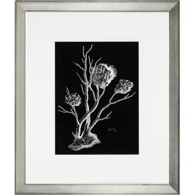 Wendover Art Group 'black And White Coral Ii' - Picture Frame Graphic Art