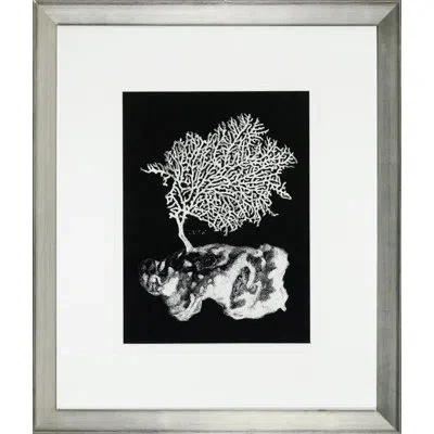 Wendover Art Group 'black And White Coral Iii' - Picture Frame Graphic Art In Black;white