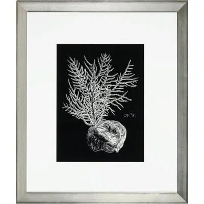 Wendover Art Group 'black And White Coral Iv' - Picture Frame Graphic Art In Black;white