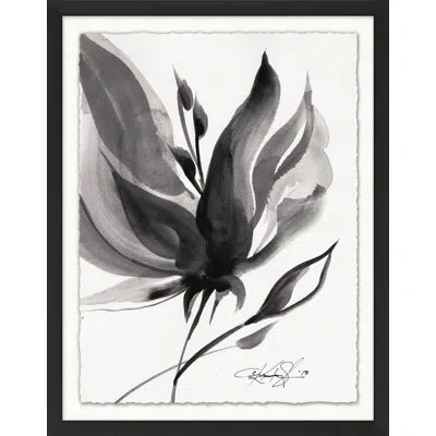 Wendover Art Group Black And White Flower Study 6 - Picture Frame Painting