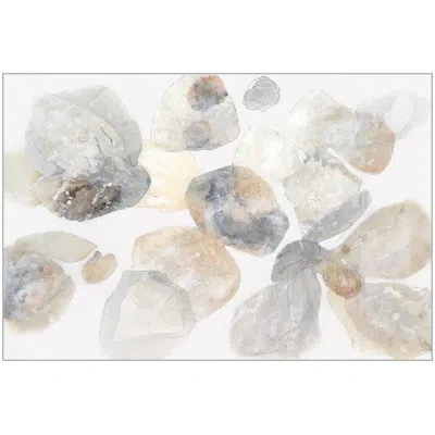 Wendover Art Group Blanched - 1 Floater Frame Graphic Art On Canvas In White;gray;beige