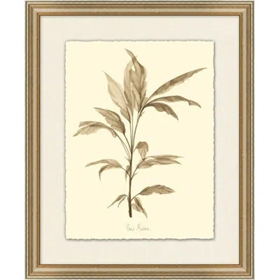 Wendover Art Group Blood Banana - Picture Frame Print On Paper In Brown;beige