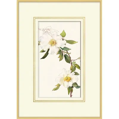 Wendover Art Group Blooming Study 9 - Picture Frame Painting On Paper In Neutral