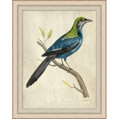 Wendover Art Group Blue Birds 1 - Picture Frame Painting On Paper In Blue;black;beige